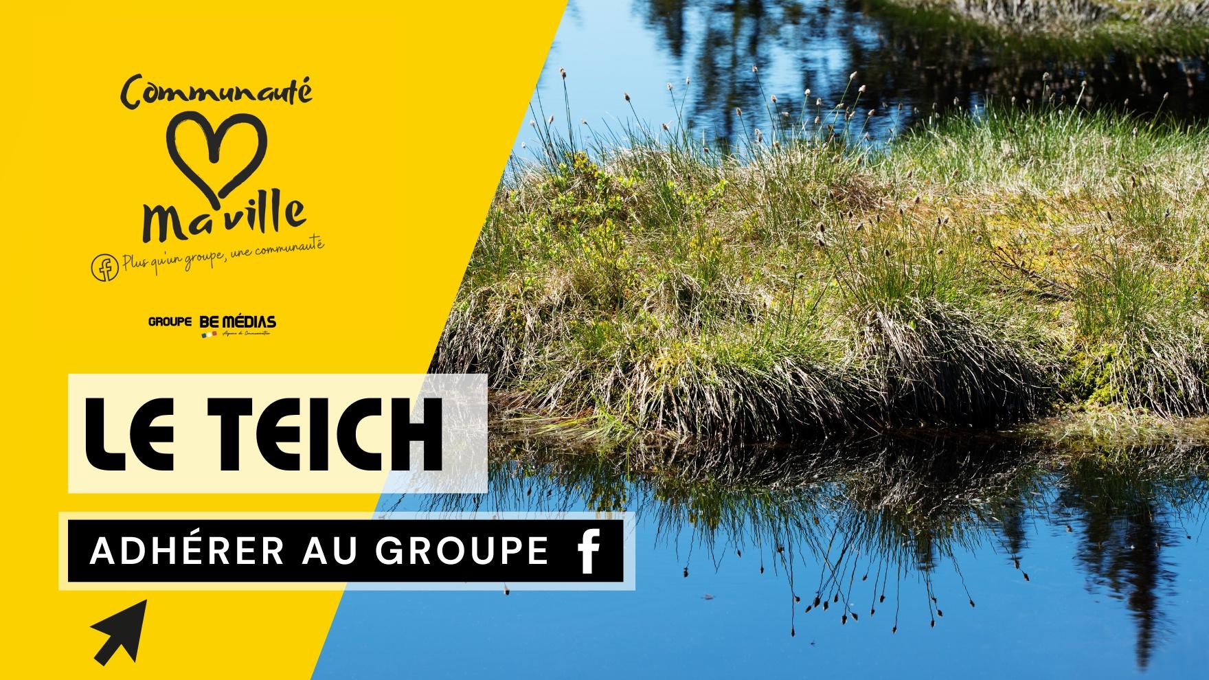 Le teich